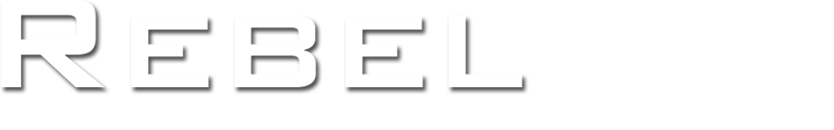Rebelics Internet & Computer Services